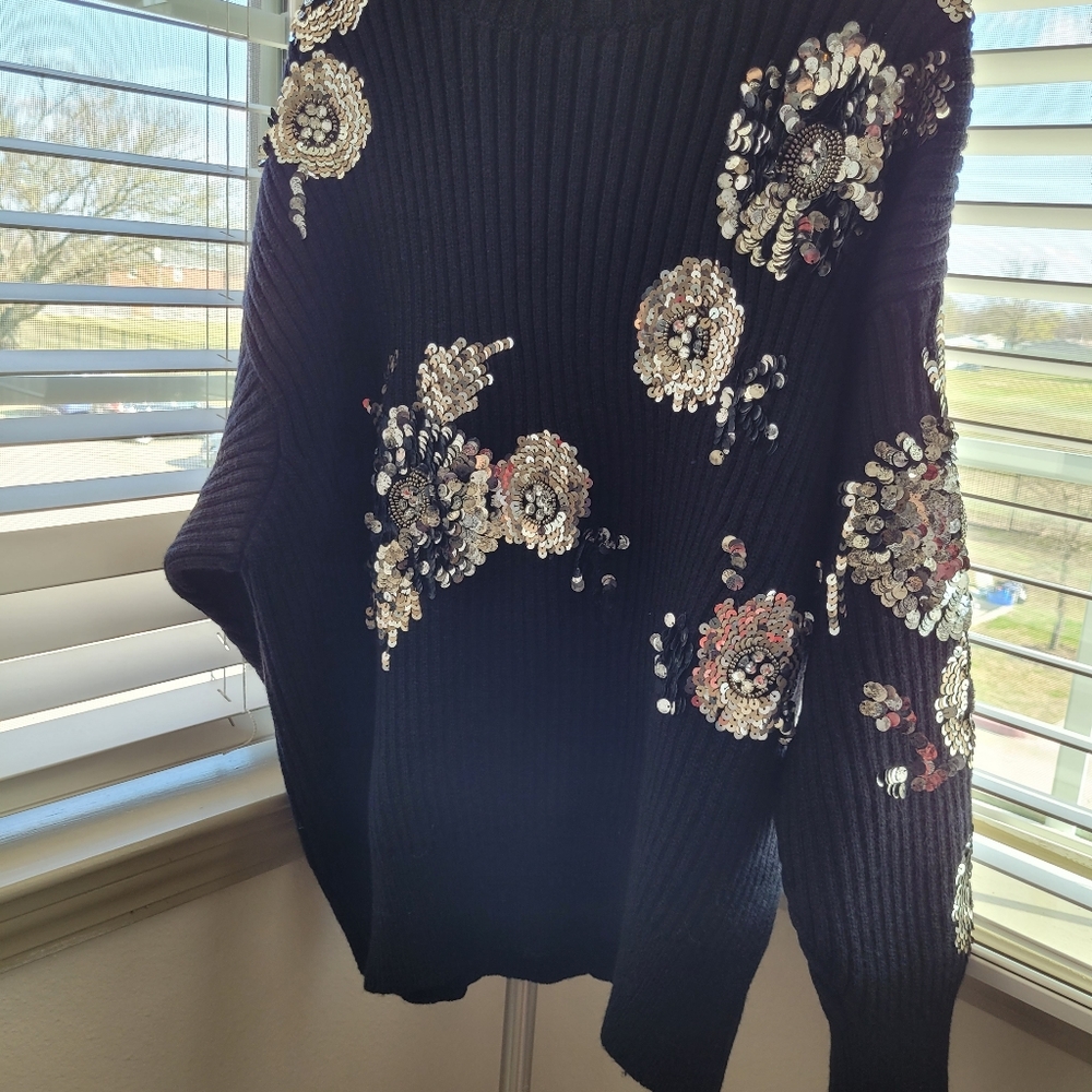 Zara's Black sequin Sweater